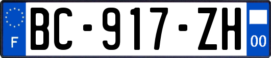 BC-917-ZH