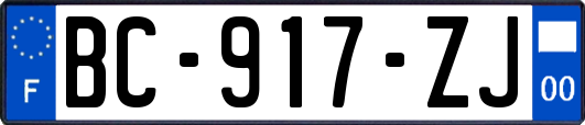 BC-917-ZJ