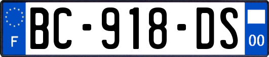 BC-918-DS