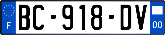 BC-918-DV