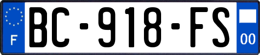 BC-918-FS