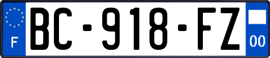 BC-918-FZ