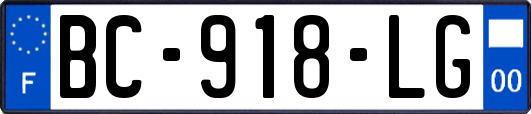 BC-918-LG