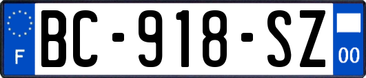 BC-918-SZ