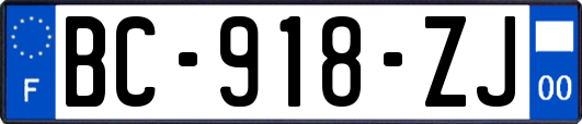 BC-918-ZJ