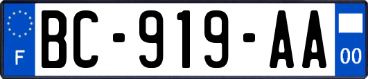 BC-919-AA