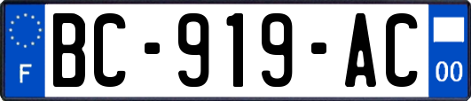 BC-919-AC