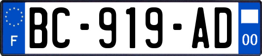 BC-919-AD