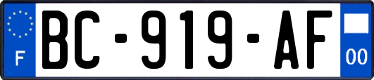 BC-919-AF