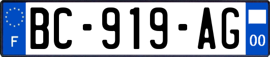 BC-919-AG