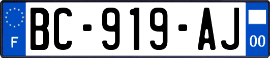BC-919-AJ