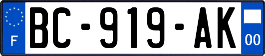 BC-919-AK