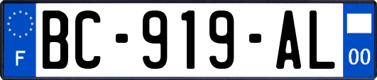 BC-919-AL