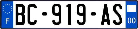 BC-919-AS