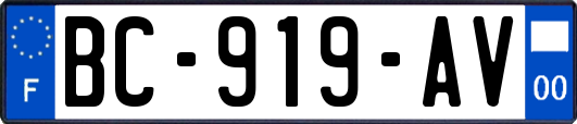 BC-919-AV
