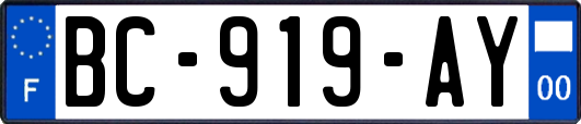 BC-919-AY
