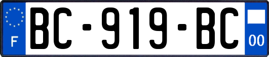 BC-919-BC