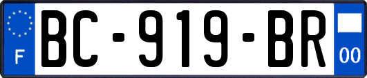 BC-919-BR