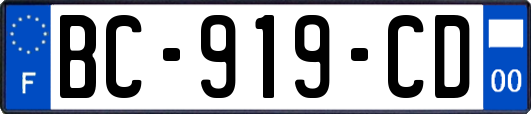 BC-919-CD
