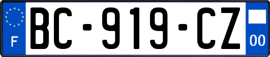 BC-919-CZ