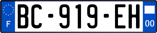 BC-919-EH