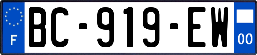 BC-919-EW