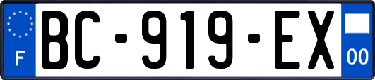 BC-919-EX