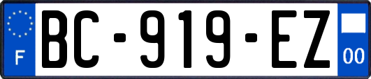 BC-919-EZ