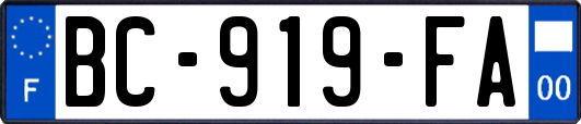 BC-919-FA