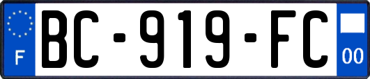 BC-919-FC
