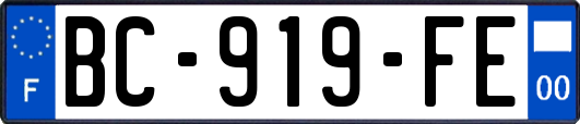 BC-919-FE