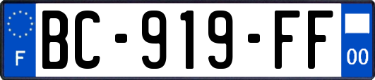 BC-919-FF