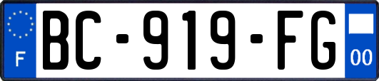 BC-919-FG