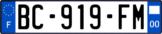 BC-919-FM