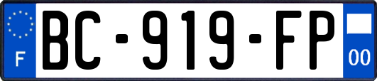 BC-919-FP