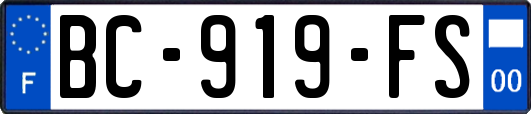 BC-919-FS