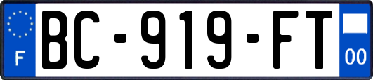 BC-919-FT