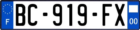 BC-919-FX