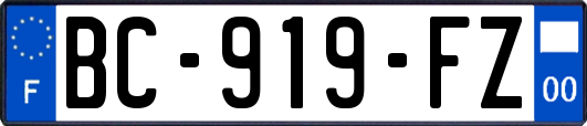 BC-919-FZ