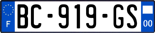 BC-919-GS
