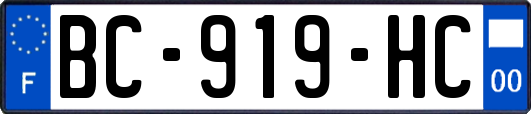 BC-919-HC