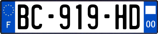 BC-919-HD
