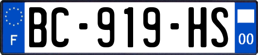 BC-919-HS