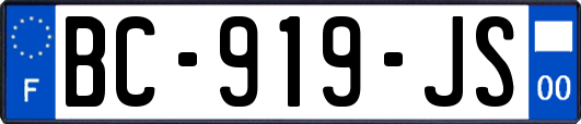 BC-919-JS