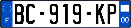 BC-919-KP