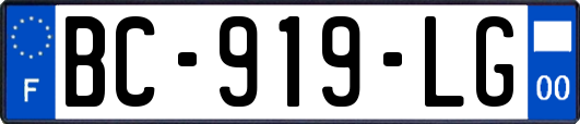 BC-919-LG