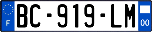 BC-919-LM