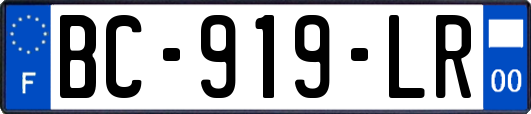 BC-919-LR