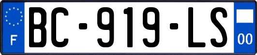 BC-919-LS