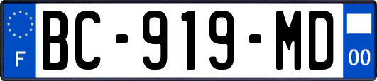 BC-919-MD